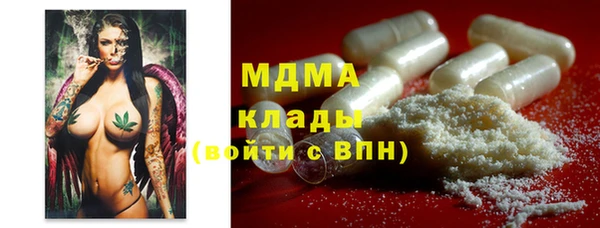 гидра Тайга