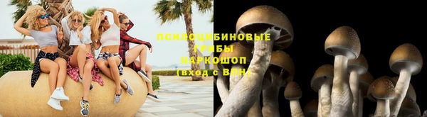 гидра Тайга