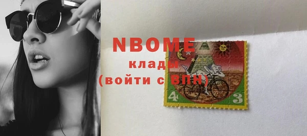 гидра Тайга
