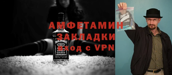 гидра Тайга