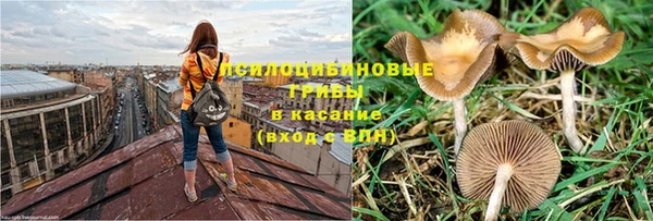 индика Балахна
