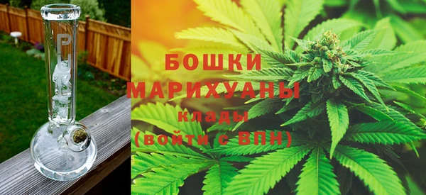 гидра Тайга