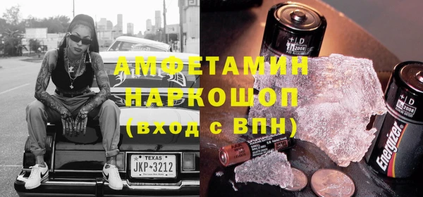 гидра Тайга