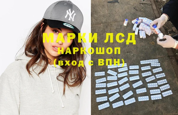 прущие грибы Баксан