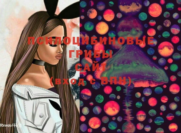 гидра Тайга
